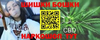 тгк Лесосибирск