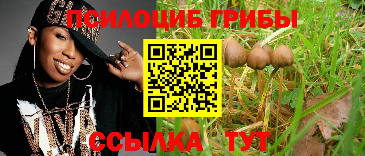 Воткинск  сколько стоит  Вход с VPN  Галлюциногенные грибы мухоморы 